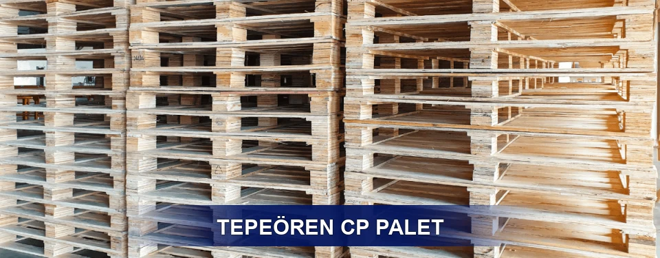 Tepeören Standart Tipler